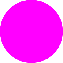 Polygon