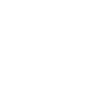 Term