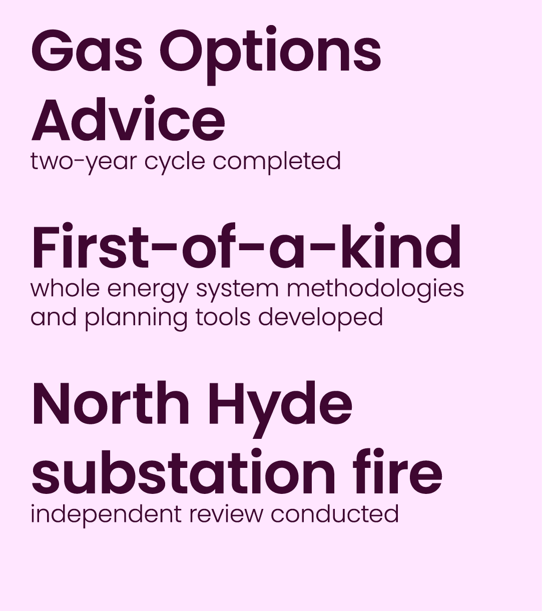 Gas Options Advice two year cycle completed First of a kind whole energy system methodologies and planning tools deve...
