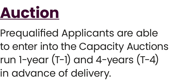 Auction Prequalified Applicants are able to enter into the Capacity Auctions run 1 year (T 1) and 4 years (T 4) in ad...