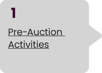 1 Pre Auction Activities