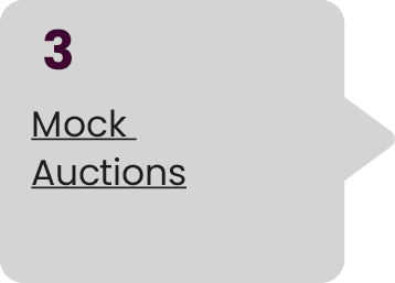 3 Mock Auctions