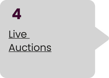 4 Live Auctions