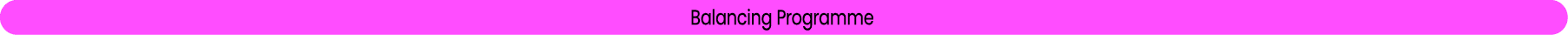 Balancing Programme