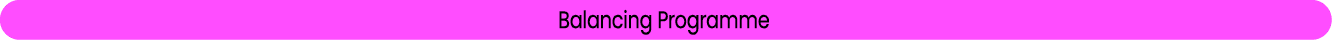 Balancing Programme