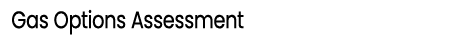 Gas Options Assessment