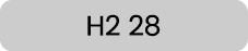 H2 28