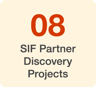 08 SIF Partner Discovery Projects 
