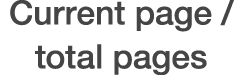 Current page / total pages