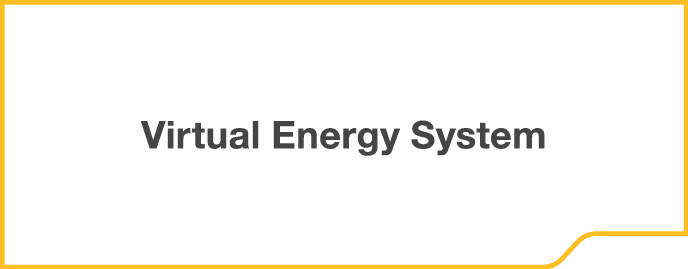 Virtual Energy System