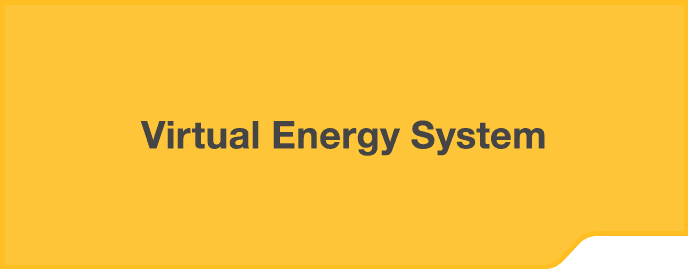 Virtual Energy System