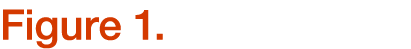 Figure 1. ﻿ 