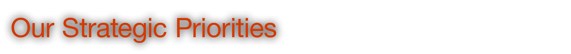 Our Strategic Priorities