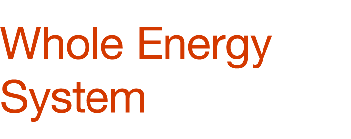 Whole Energy System