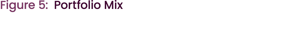 Figure 5: Portfolio Mix