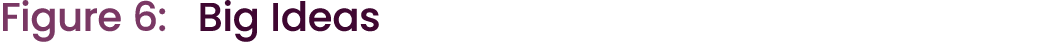Figure 6: Big Ideas