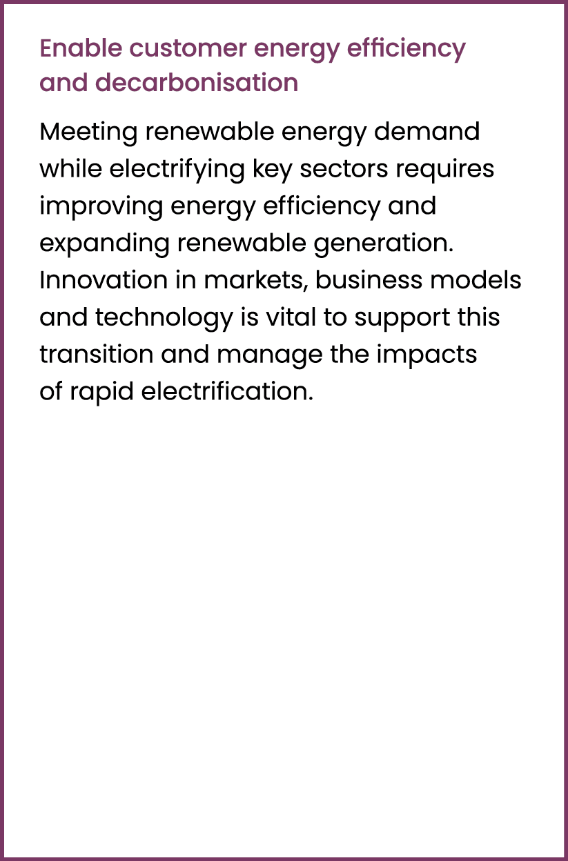 Enable customer energy efficiency and decarbonisation Meeting renewable energy demand while electrifying key sectors ...