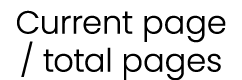 Current page / total pages