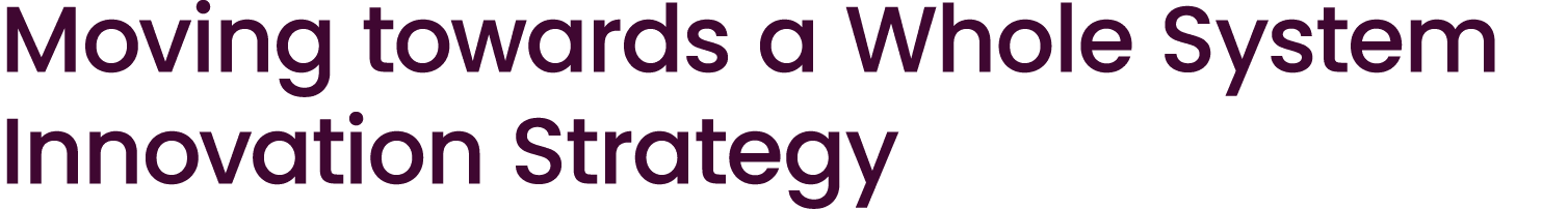 Moving towards a Whole System Innovation Strategy 