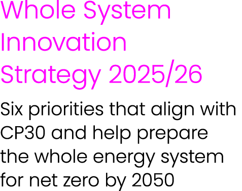 Whole System Innovation Strategy 2025/26 Six priorities that align with CP30 and help prepare the whole energy system...
