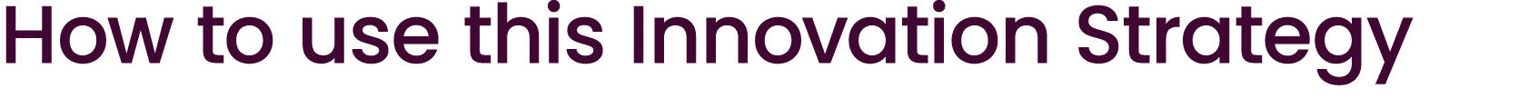 How to use this Innovation Strategy 