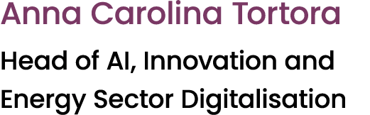 Anna Carolina Tortora Head of AI, Innovation and Energy Sector Digitalisation