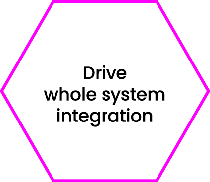 Drive whole system integration 