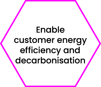 Enable customer energy efficiency and decarbonisation 