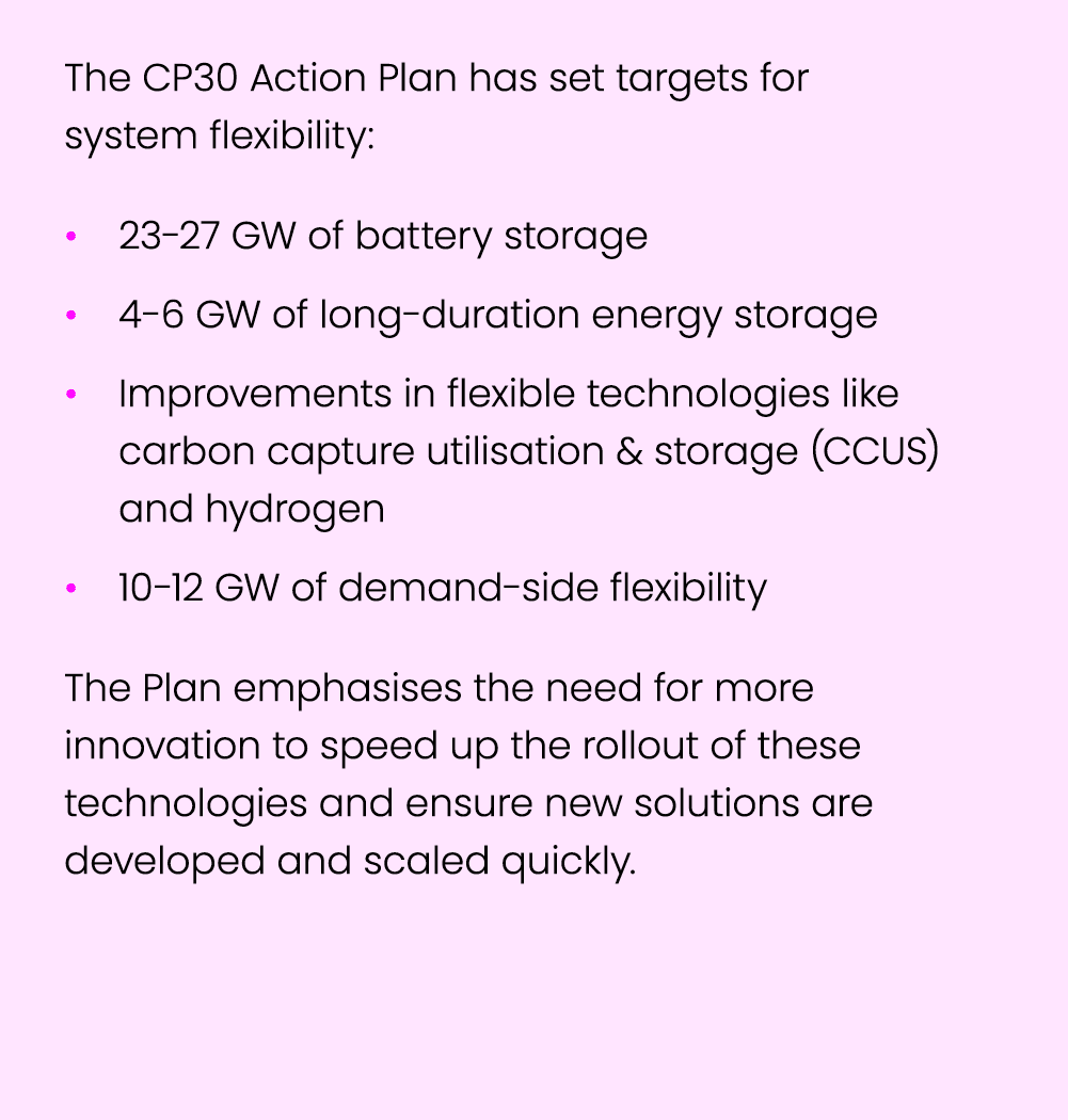 The CP30 Action Plan has set targets for system flexibility: • 23 27 GW of battery storage • 4 6 GW of long duration ...