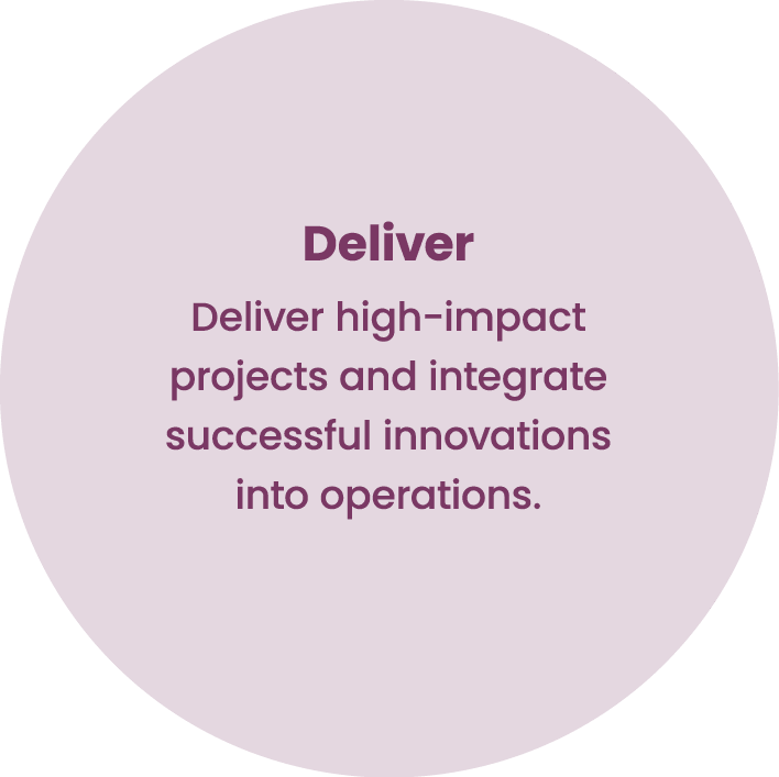 Deliver Deliver high impact projects and integrate successful innovations into operations. 