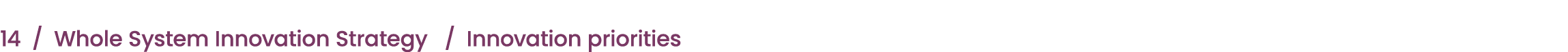 14 / Whole System Innovation Strategy / Innovation priorities 