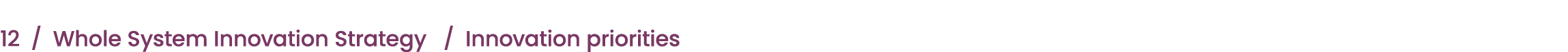 12 / Whole System Innovation Strategy / Innovation priorities 