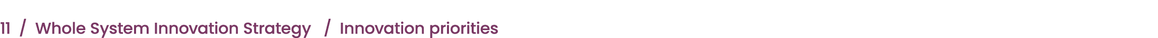 11 / Whole System Innovation Strategy / Innovation priorities 