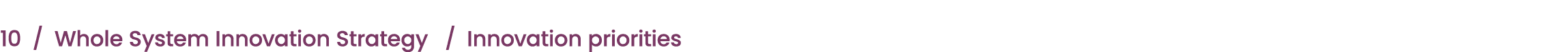 10 / Whole System Innovation Strategy / Innovation priorities 