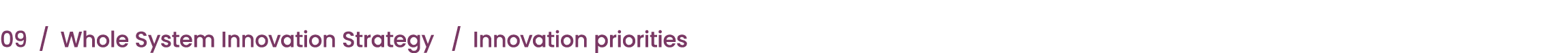 09 / Whole System Innovation Strategy / Innovation priorities 