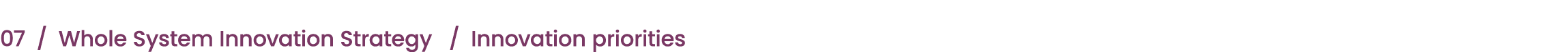 07 / Whole System Innovation Strategy / Innovation priorities 