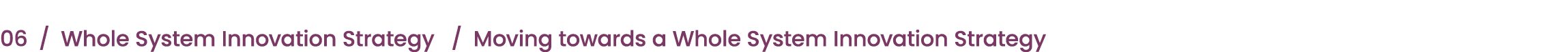 06 / Whole System Innovation Strategy / Moving towards a Whole System Innovation Strategy 