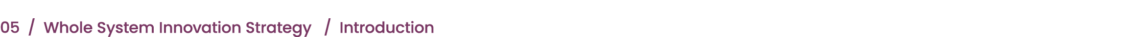 05 / Whole System Innovation Strategy / Introduction