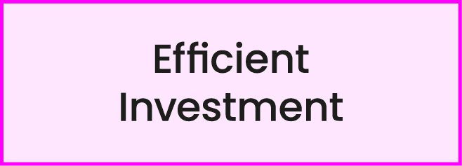 Efficient Investment