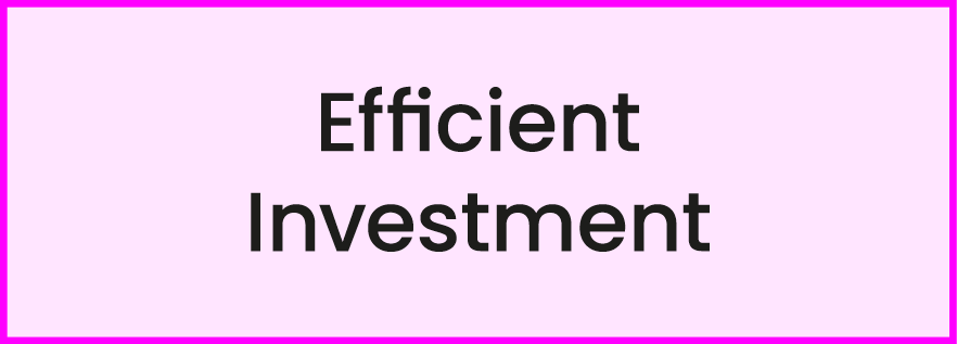 Efficient Investment