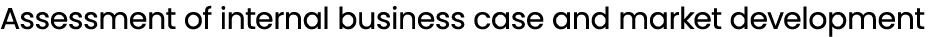 Assessment of internal business case and market development