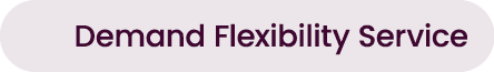 Demand Flexibility Service