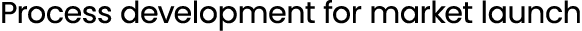 Process development for market launch