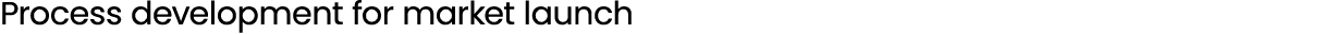 Process development for market launch