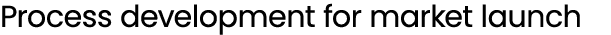Process development for market launch