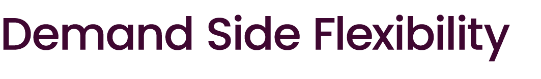Demand Side Flexibility