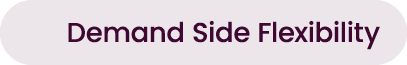 Demand Side Flexibility 