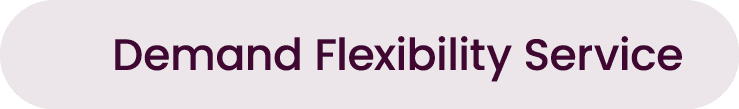 Demand Flexibility Service