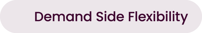 Demand Side Flexibility