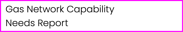 Gas Network Capability Needs Report